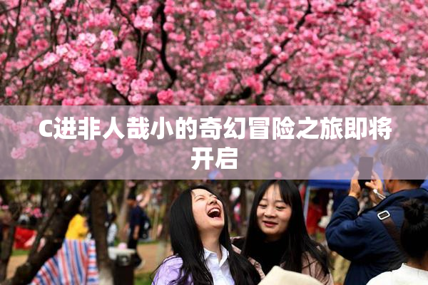 C进非人哉小的奇幻冒险之旅即将开启