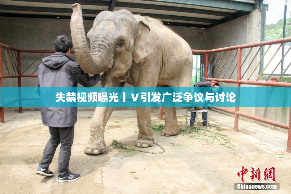 失禁视频曝光丨Ⅴ引发广泛争议与讨论