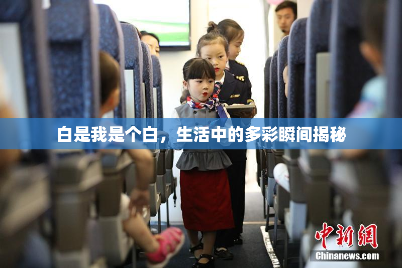 白是我是个白，生活中的多彩瞬间揭秘