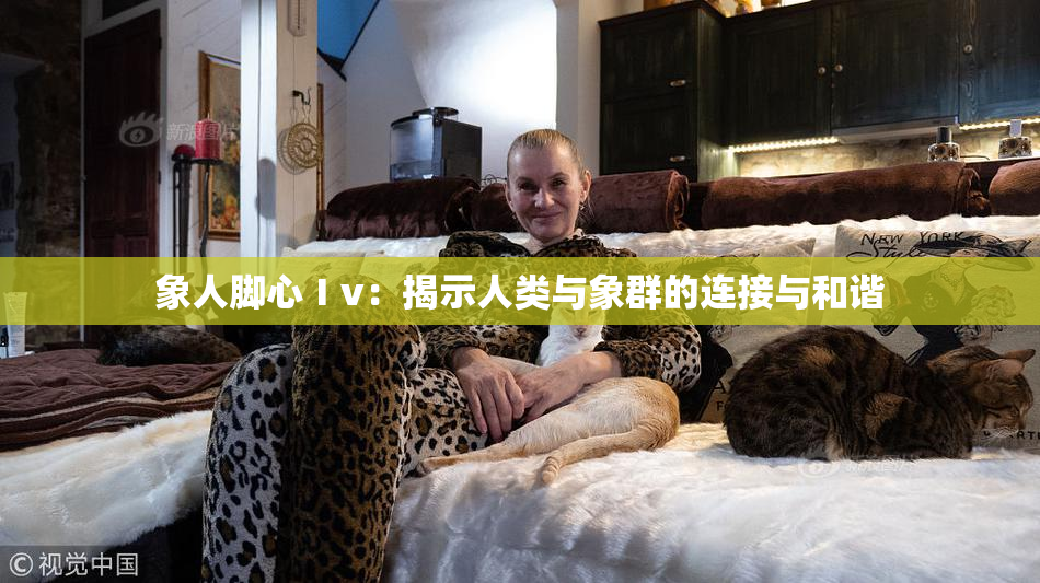象人脚心Ⅰv：揭示人类与象群的连接与和谐