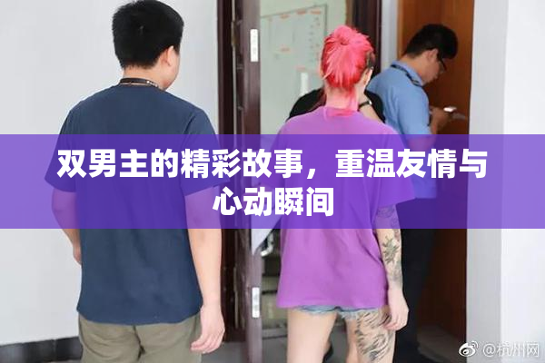 双男主的精彩故事，重温友情与心动瞬间