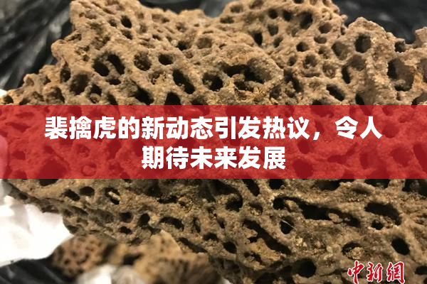 裴擒虎的新动态引发热议，令人期待未来发展