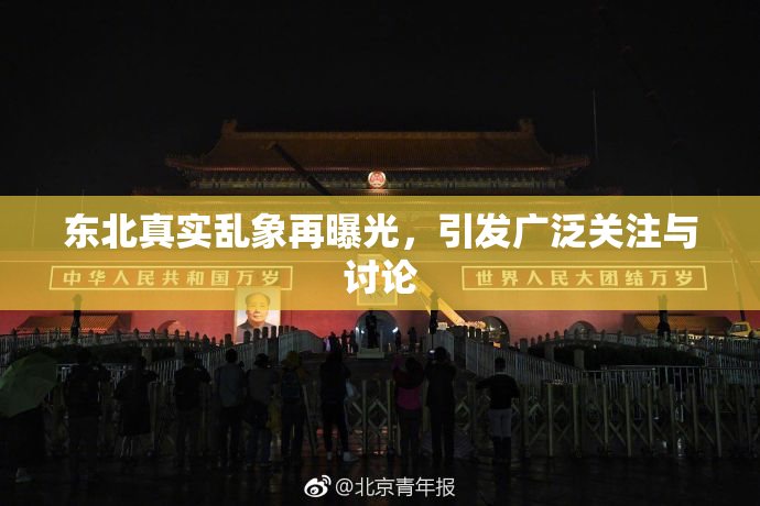 东北真实乱象再曝光，引发广泛关注与讨论