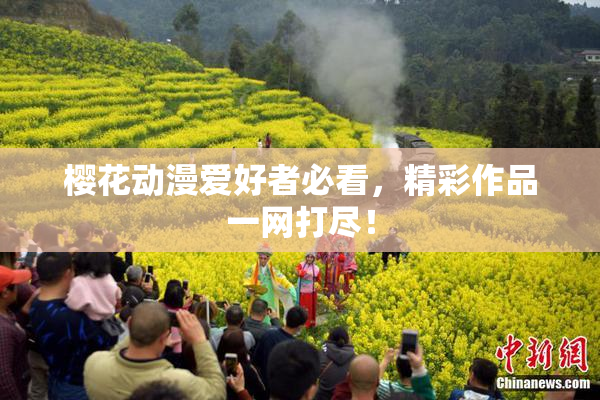 樱花动漫爱好者必看，精彩作品一网打尽！