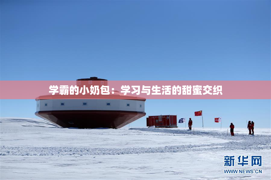 学霸的小奶包：学习与生活的甜蜜交织