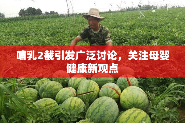 哺乳2截引发广泛讨论，关注母婴健康新观点