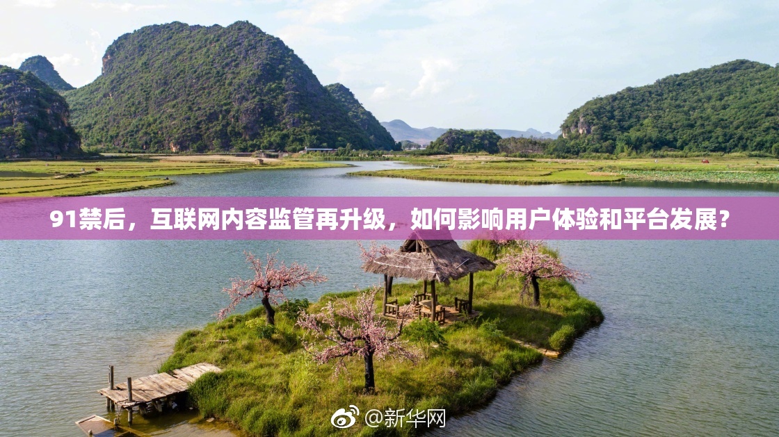 91禁后，互联网内容监管再升级，如何影响用户体验和平台发展？