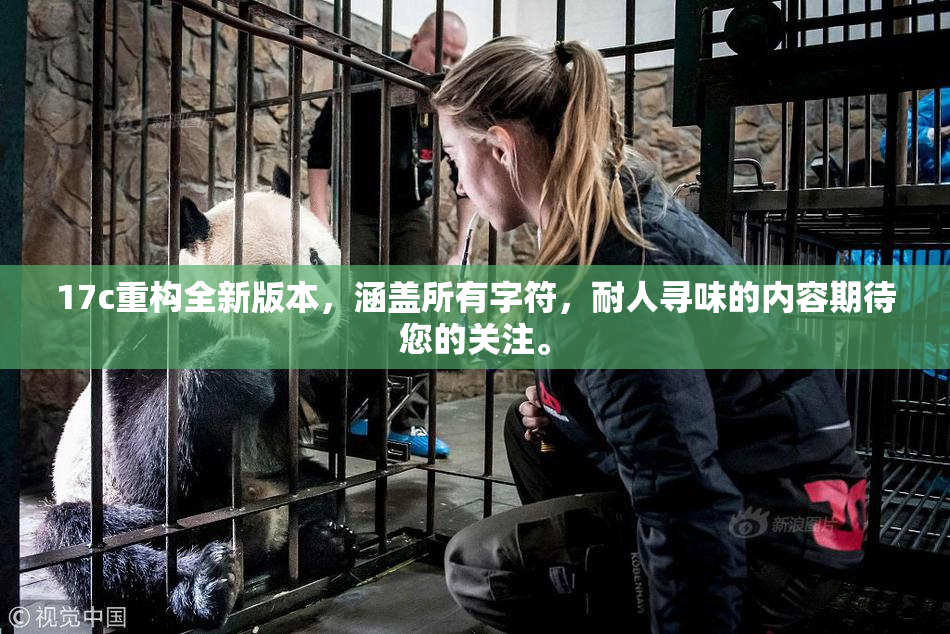 17c重构全新版本，涵盖所有字符，耐人寻味的内容期待您的关注。