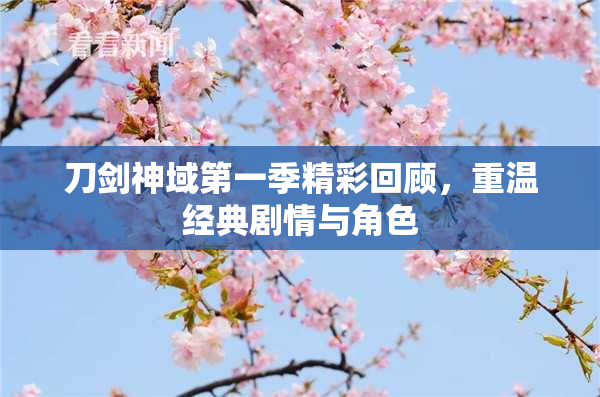 刀剑神域第一季精彩回顾，重温经典剧情与角色
