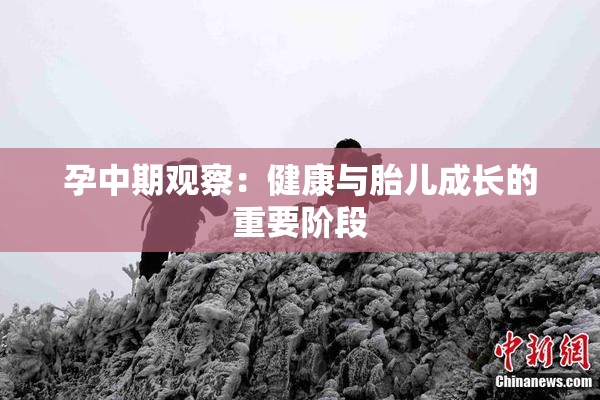 孕中期观察：健康与胎儿成长的重要阶段