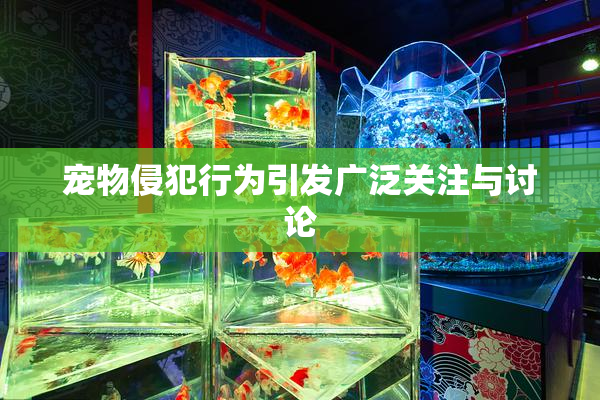 宠物侵犯行为引发广泛关注与讨论