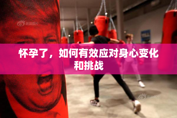 怀孕了，如何有效应对身心变化和挑战