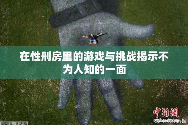 在性刑房里的游戏与挑战揭示不为人知的一面