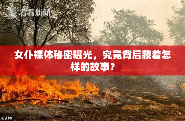女仆裸体秘密曝光，究竟背后藏着怎样的故事？