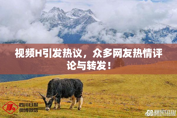 视频H引发热议，众多网友热情评论与转发！