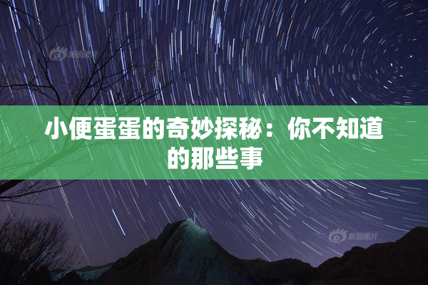 小便蛋蛋的奇妙探秘：你不知道的那些事