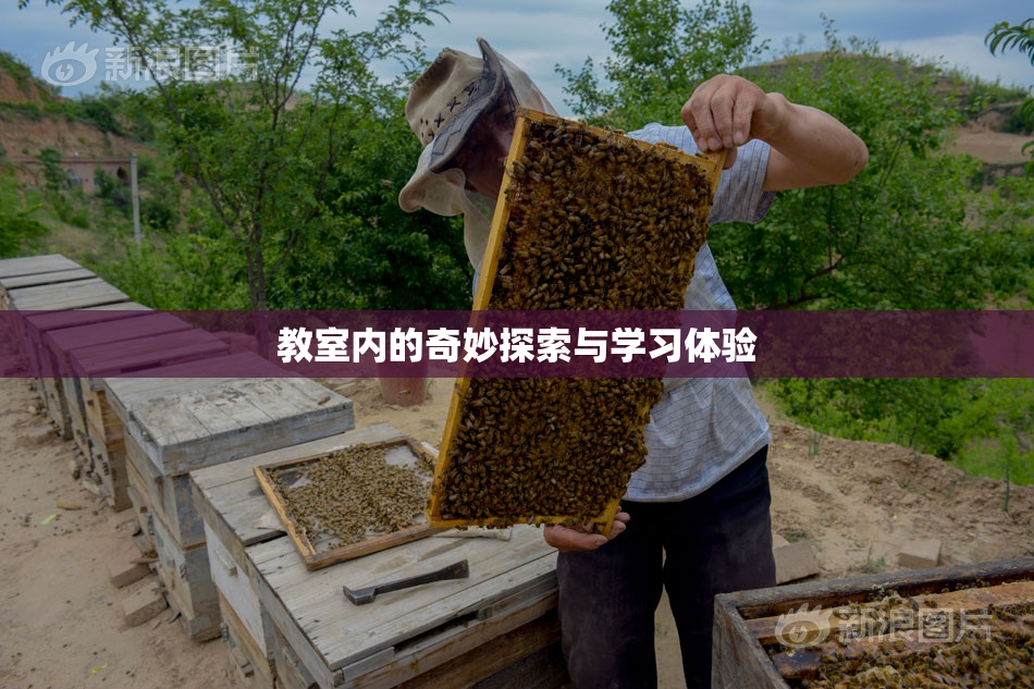 教室内的奇妙探索与学习体验