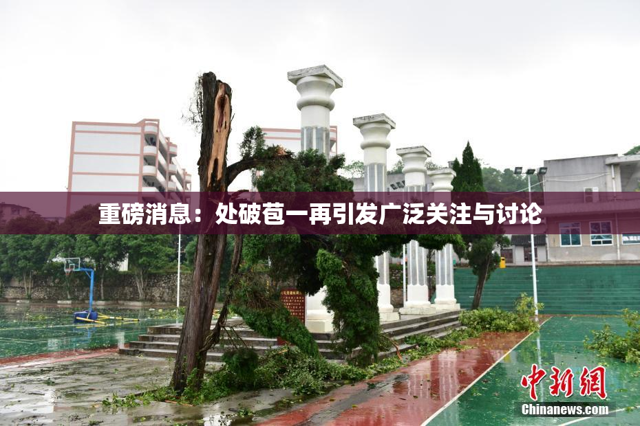 重磅消息：处破苞一再引发广泛关注与讨论