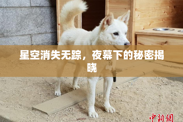 星空消失无踪，夜幕下的秘密揭晓