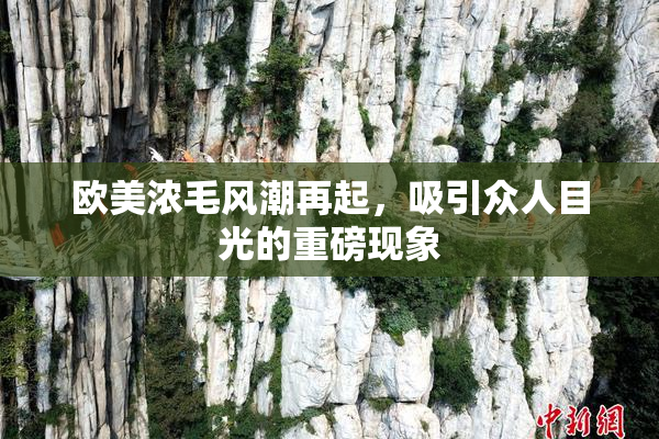 欧美浓毛风潮再起，吸引众人目光的重磅现象