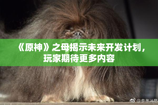 《原神》之母揭示未来开发计划，玩家期待更多内容