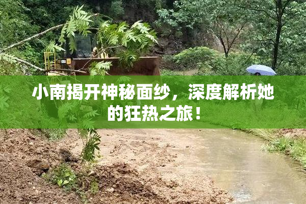 小南揭开神秘面纱，深度解析她的狂热之旅！