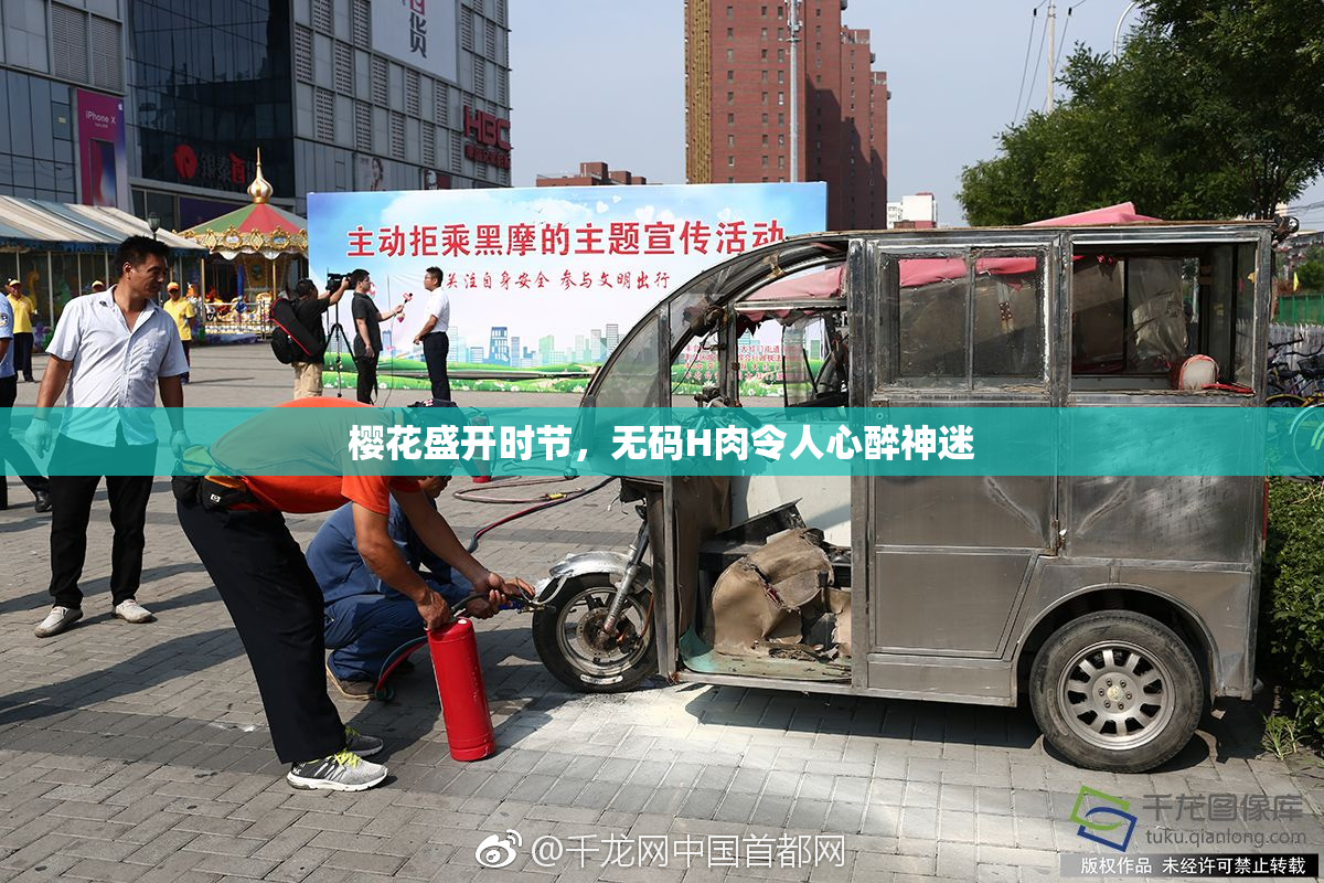 樱花盛开时节，无码H肉令人心醉神迷