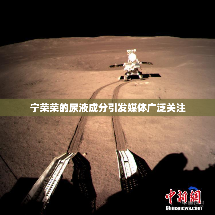 宁荣荣的尿液成分引发媒体广泛关注