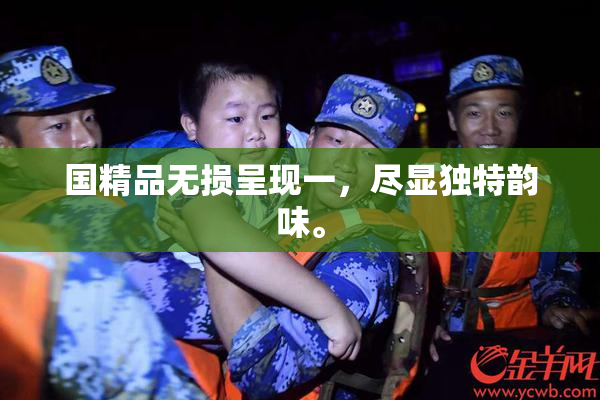 国精品无损呈现一，尽显独特韵味。