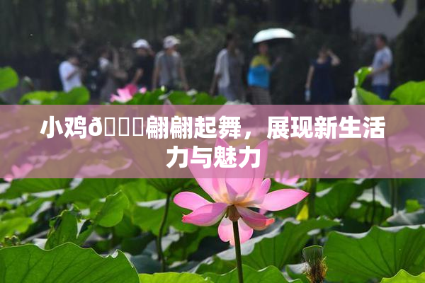 小鸡🐔翩翩起舞，展现新生活力与魅力