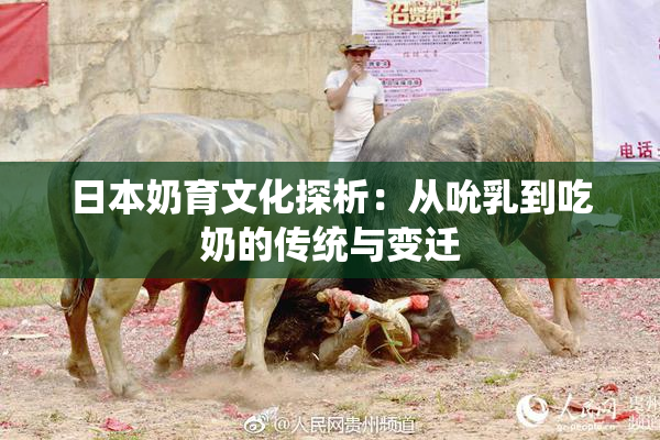 日本奶育文化探析：从吮乳到吃奶的传统与变迁