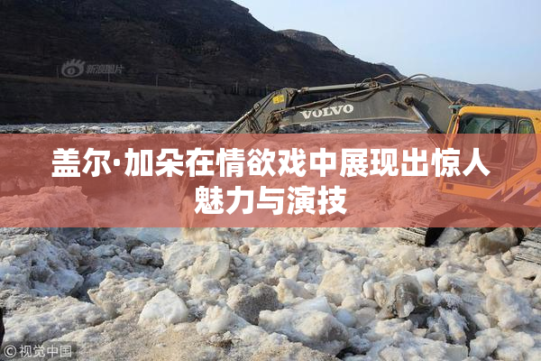盖尔·加朵在情欲戏中展现出惊人魅力与演技