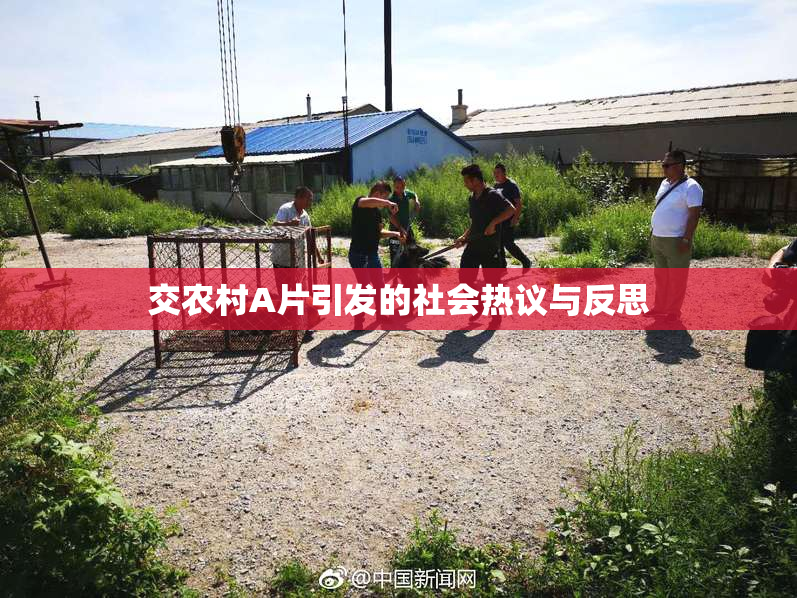 交农村A片引发的社会热议与反思