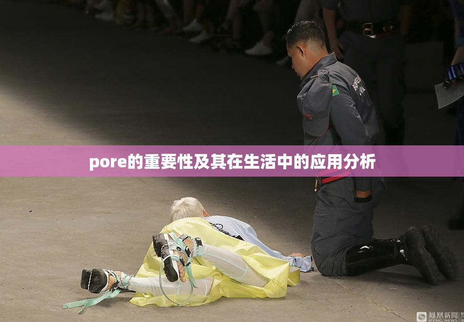 pore的重要性及其在生活中的应用分析