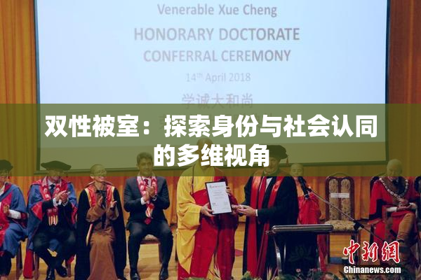 双性被室：探索身份与社会认同的多维视角