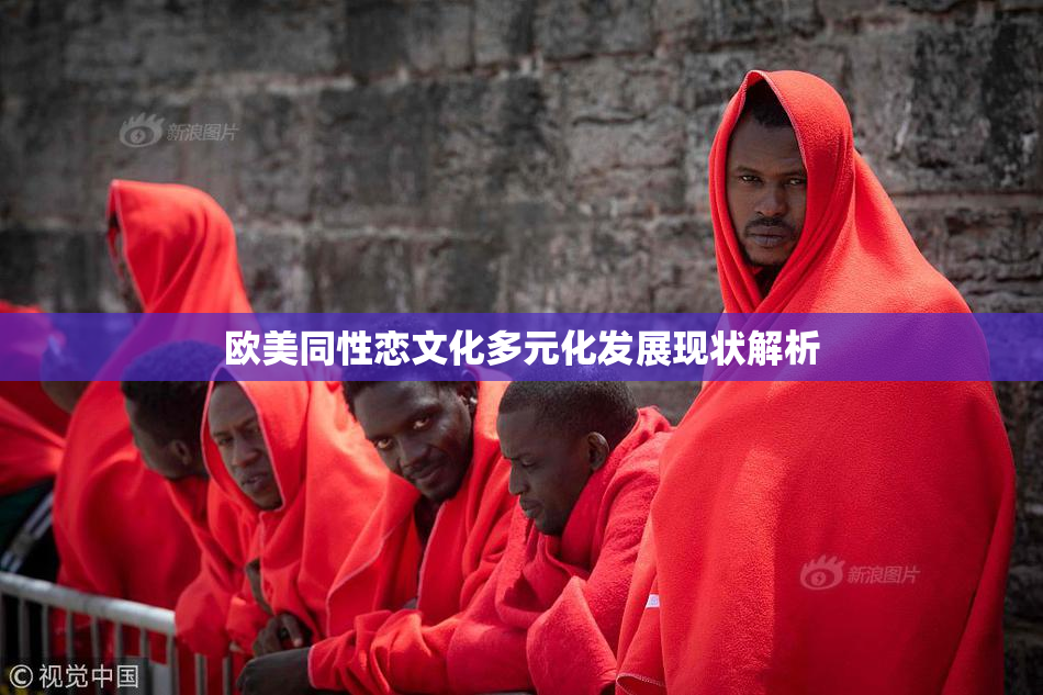 欧美同性恋文化多元化发展现状解析