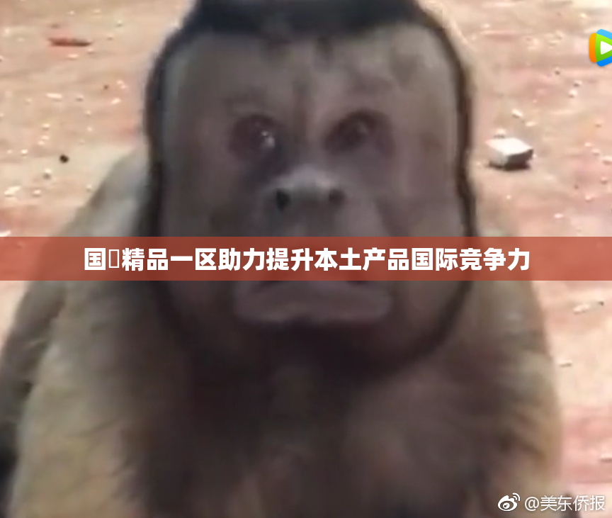 国產精品一区助力提升本土产品国际竞争力