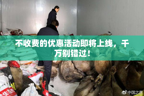 不收费的优惠活动即将上线，千万别错过！