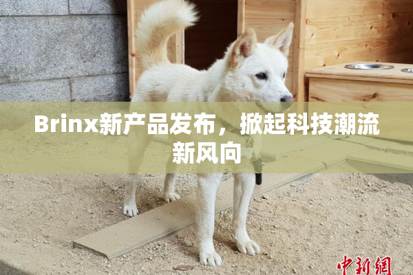 Brinx新产品发布，掀起科技潮流新风向