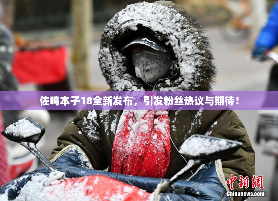佐鸣本子18全新发布，引发粉丝热议与期待！