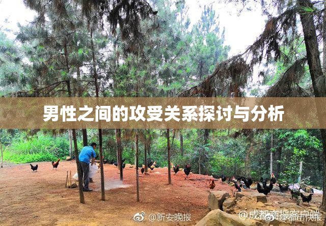 男性之间的攻受关系探讨与分析