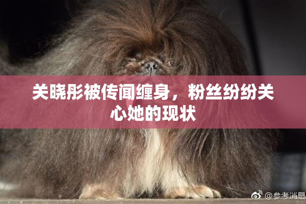关晓彤被传闻缠身，粉丝纷纷关心她的现状