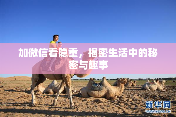 加微信看隐重，揭密生活中的秘密与趣事