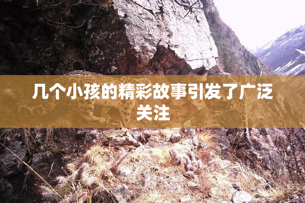 几个小孩的精彩故事引发了广泛关注