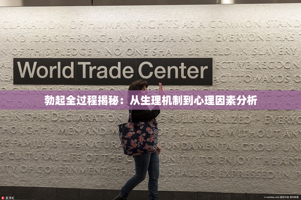 勃起全过程揭秘：从生理机制到心理因素分析