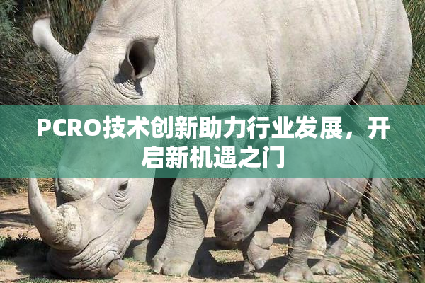 PCRO技术创新助力行业发展，开启新机遇之门