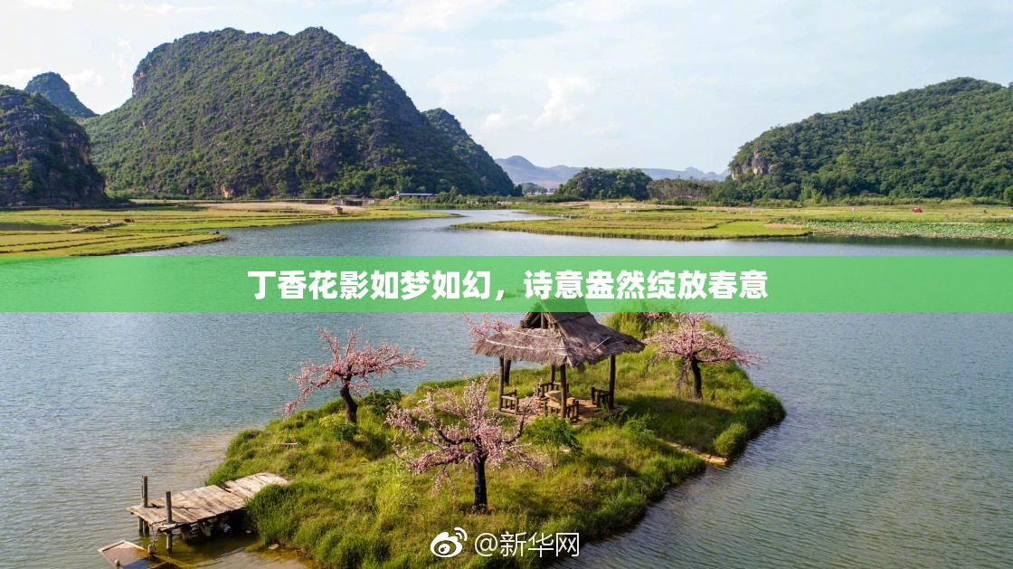 丁香花影如梦如幻，诗意盎然绽放春意