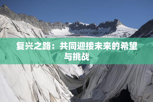 复兴之路：共同迎接未来的希望与挑战