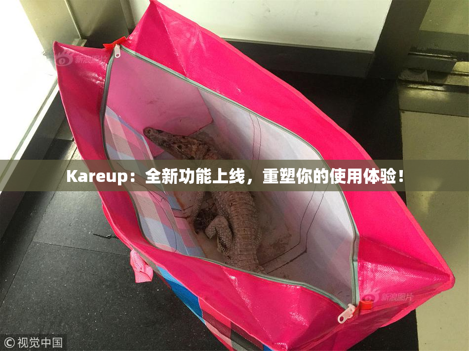 Kareup：全新功能上线，重塑你的使用体验！