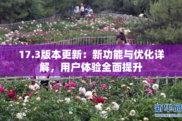17.3版本更新：新功能与优化详解，用户体验全面提升